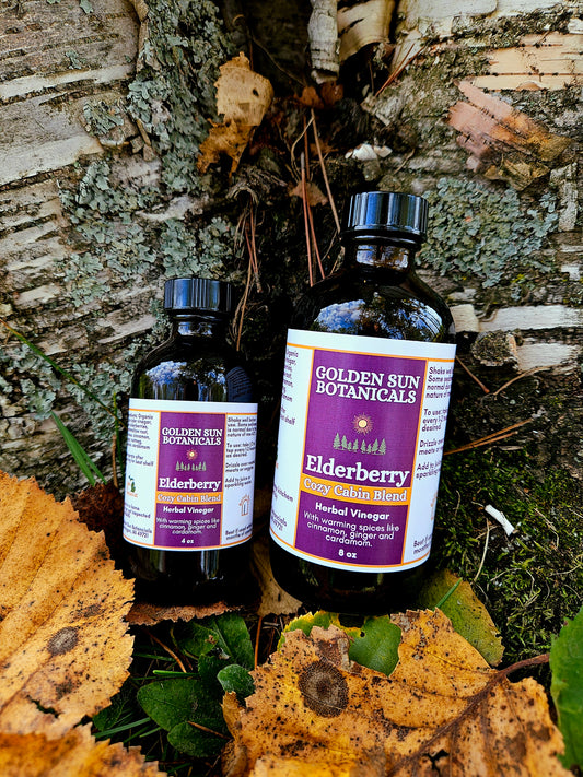 Elderberry Vinegar Cozy Cabin