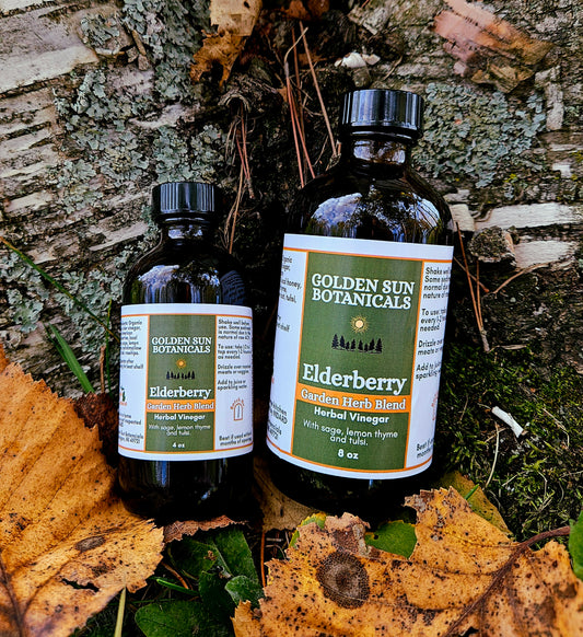 Elderberry Vinegar Garden Herb