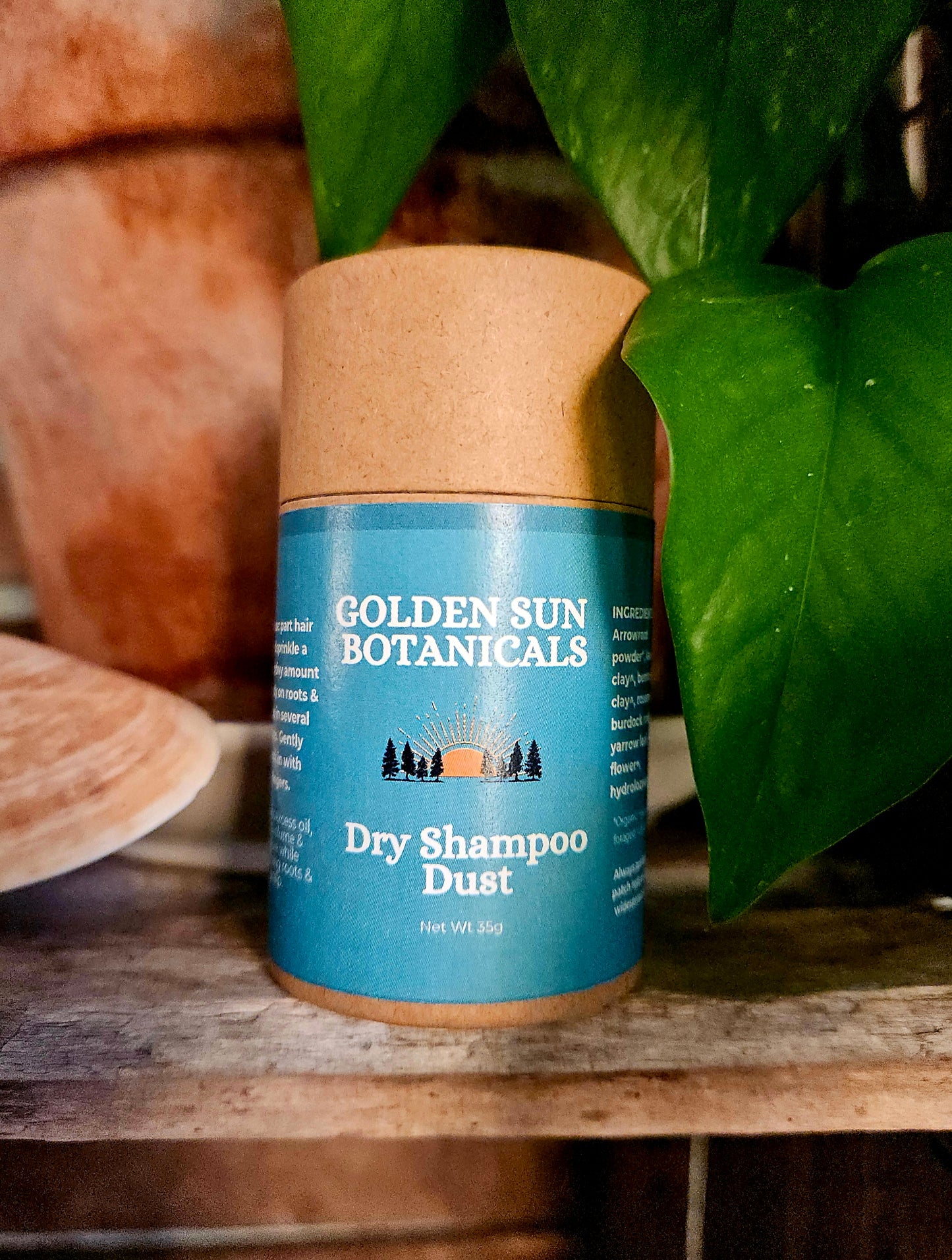 Dry Shampoo Powder