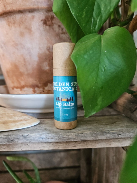Nettle Mint Lip Balm - Plant Based