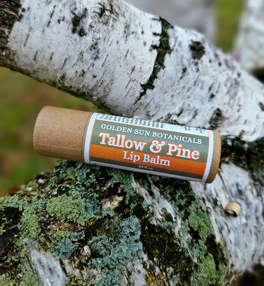 Tallow & Pine Lip Balm